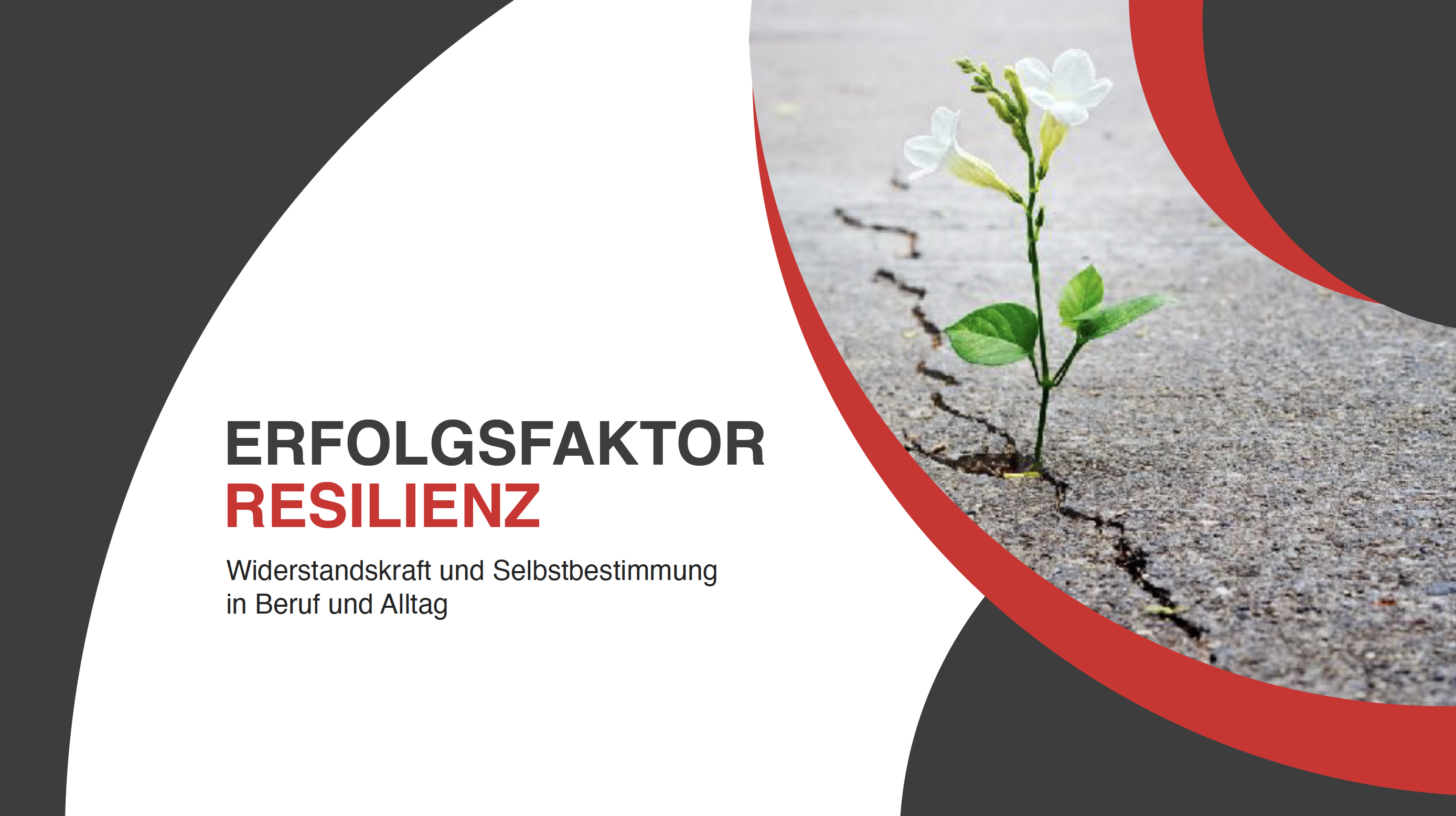 Erfolgsfaktor Resilienz Widerstandskraft Und Selbstbestimmung In